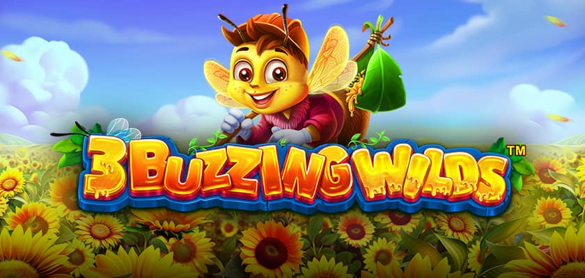 3 Buzzing Wilds