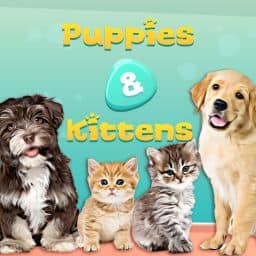 Puppies & Kittens