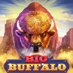 Big Buffalo