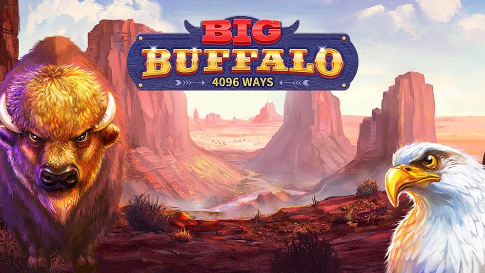 Big Buffalo