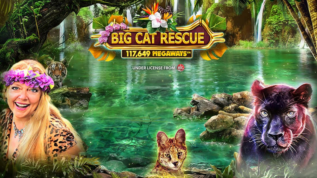 Big Cat Rescue Megaways