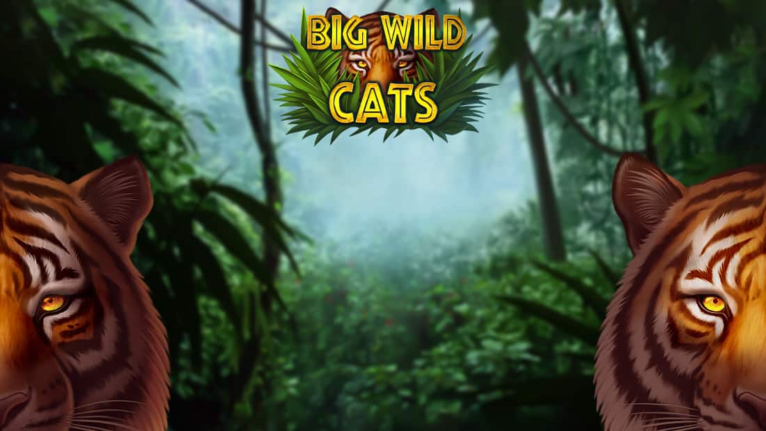 Big Wild Cats
