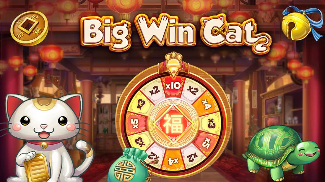 Big Win Cat