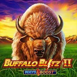 Buffalo Blitz 2