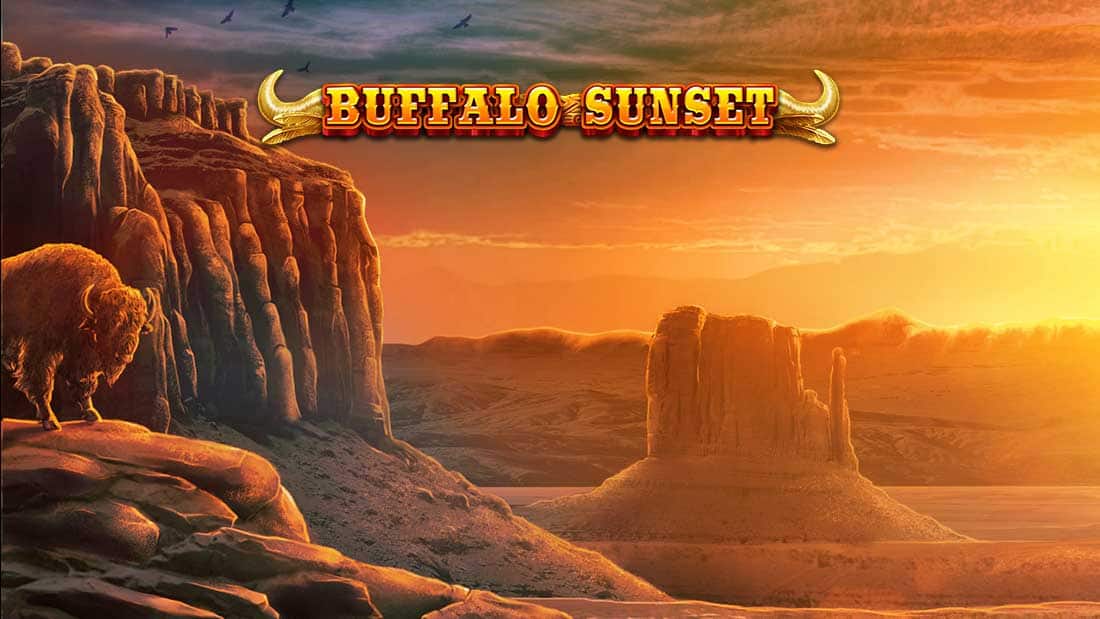 Buffalo Sunset