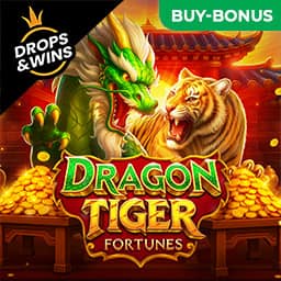 Dragon Tiger fortune