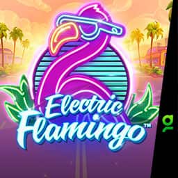 Electric Flamingo