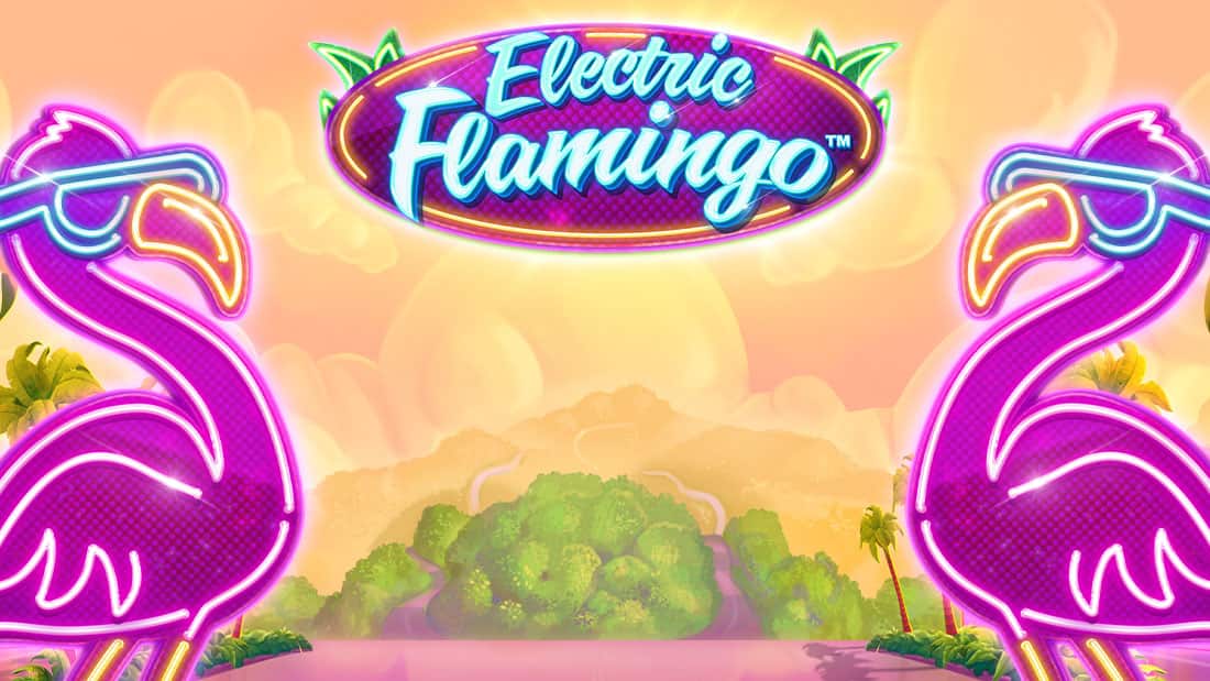 Electric Flamingo