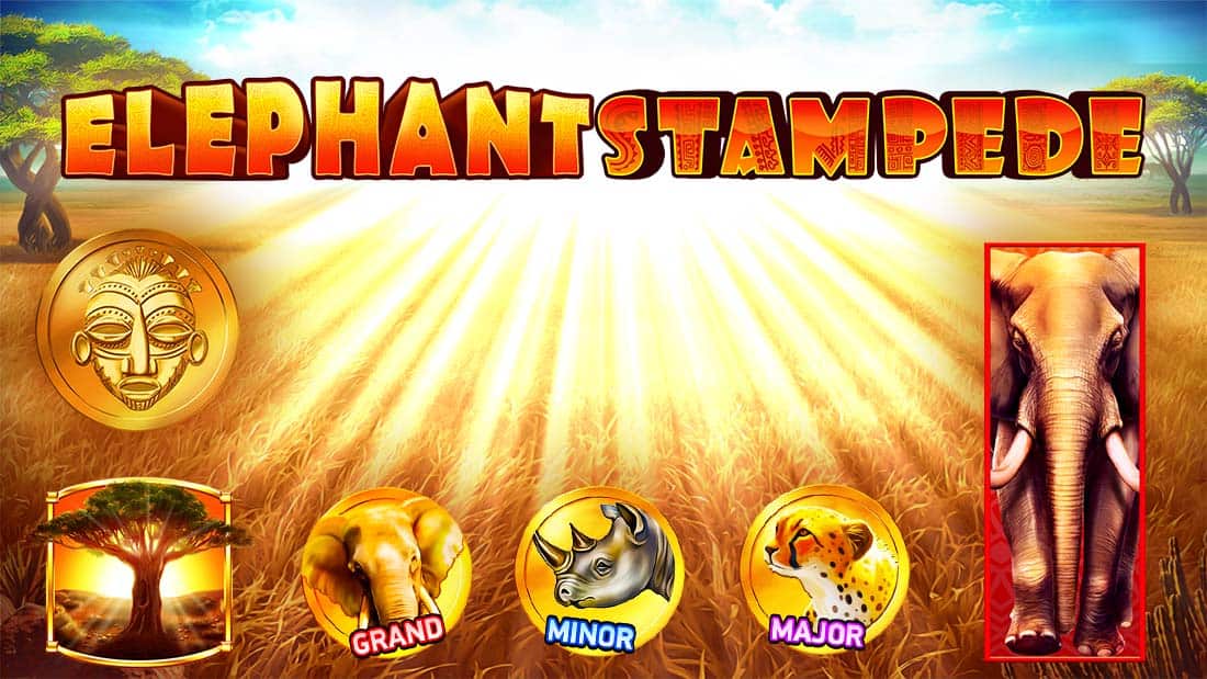 Elephant Stampede