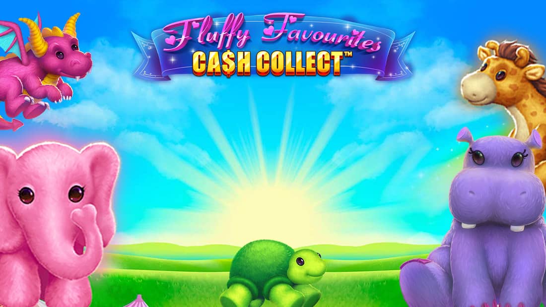 Fluffy Favourites Cash Collect