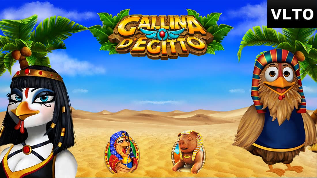 Gallina D’Egitto VLTO