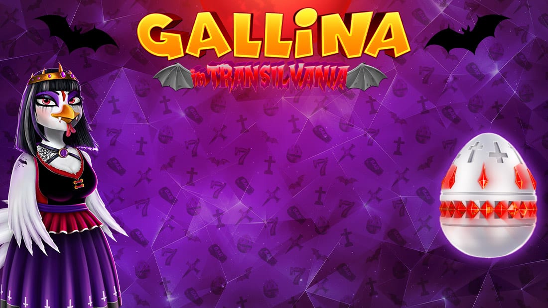 Gallina in Transilvania