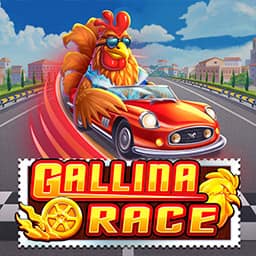 Gallina Race