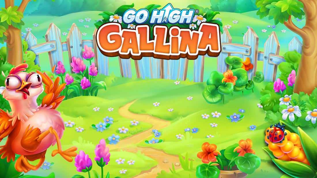Go High Gallina