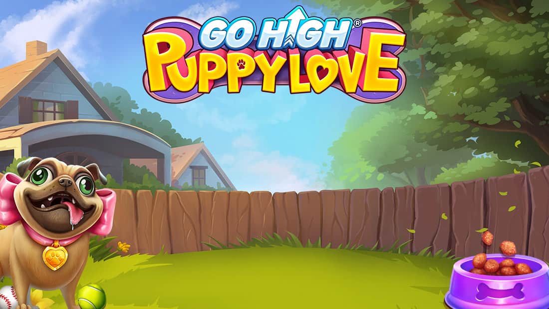 Go High Puppy Love