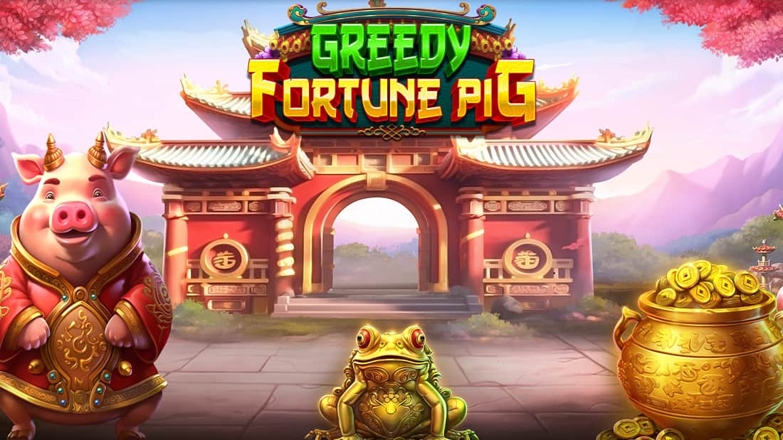 Greedy Fortune Pig
