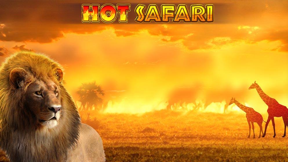 Hot Safari