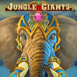 Jungle Giants