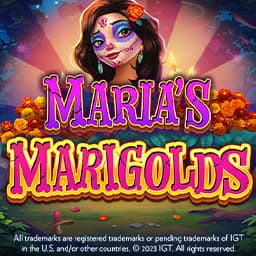 Maria’s Marigolds