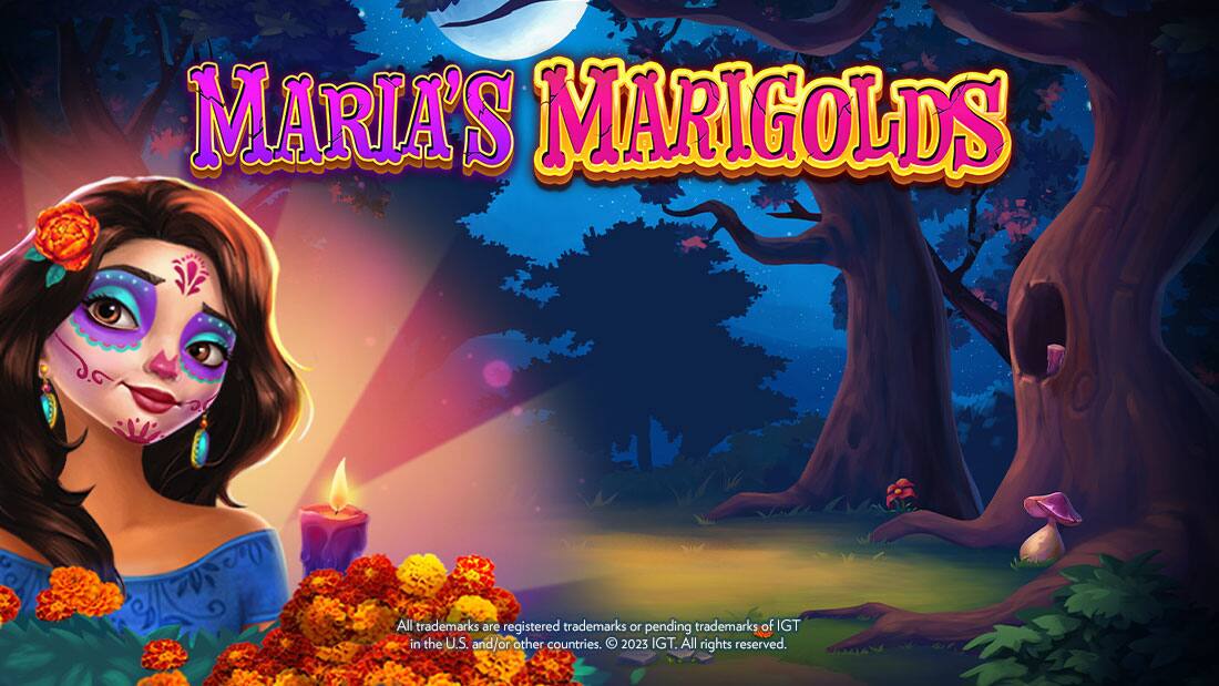 Maria’s Marigolds