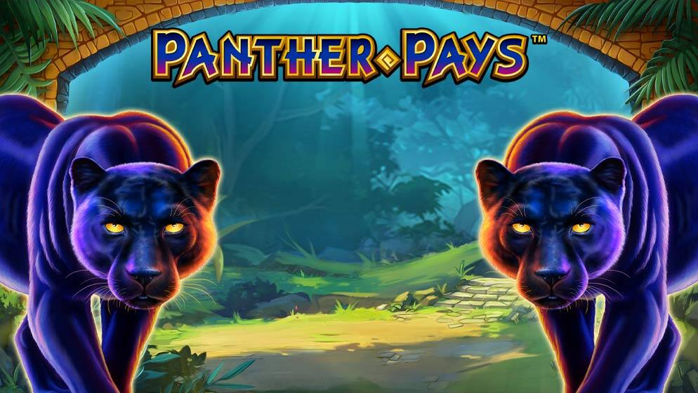 Panther Pays