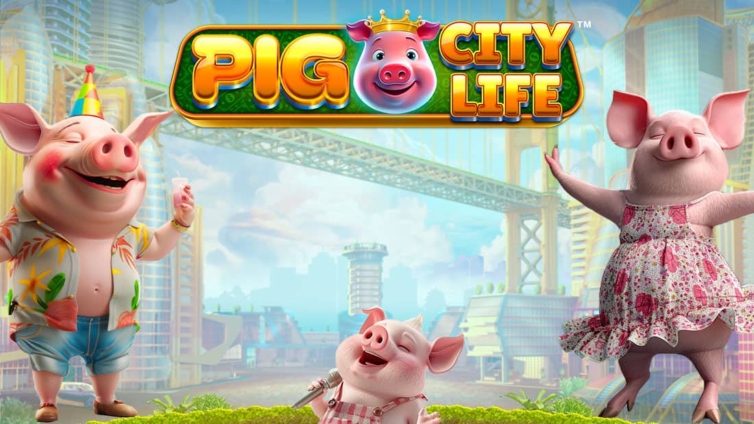 Pig City Life