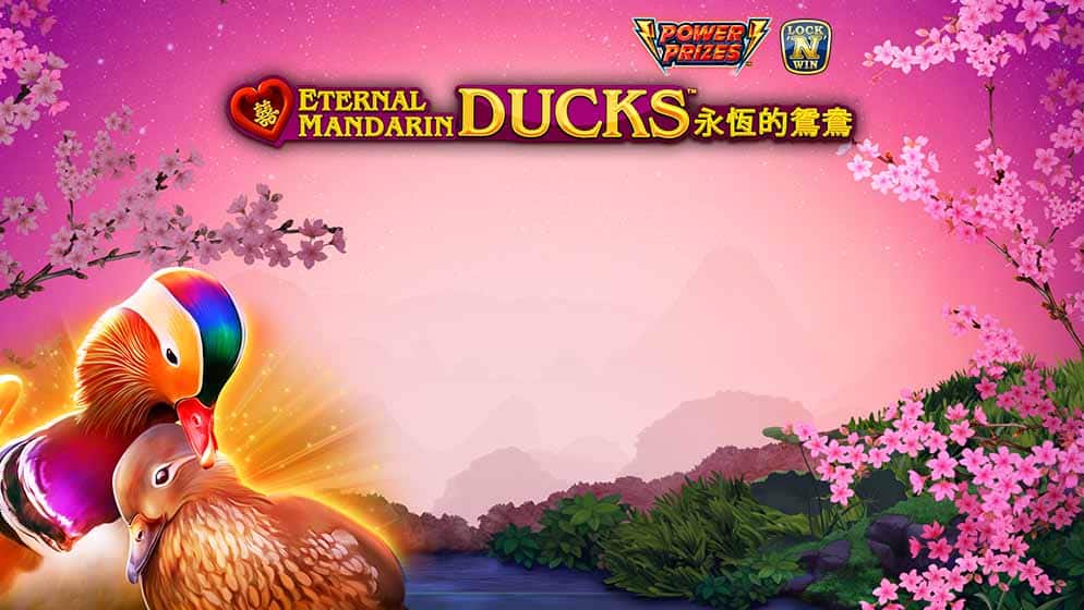 Power Prizes Eternal Mandarin Ducks