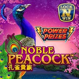Power Prizes - Noble Peacock