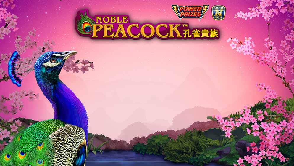 Power Prizes - Noble Peacock