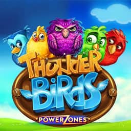 Power Zones: Thunder Birds