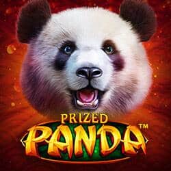 Prized Panda