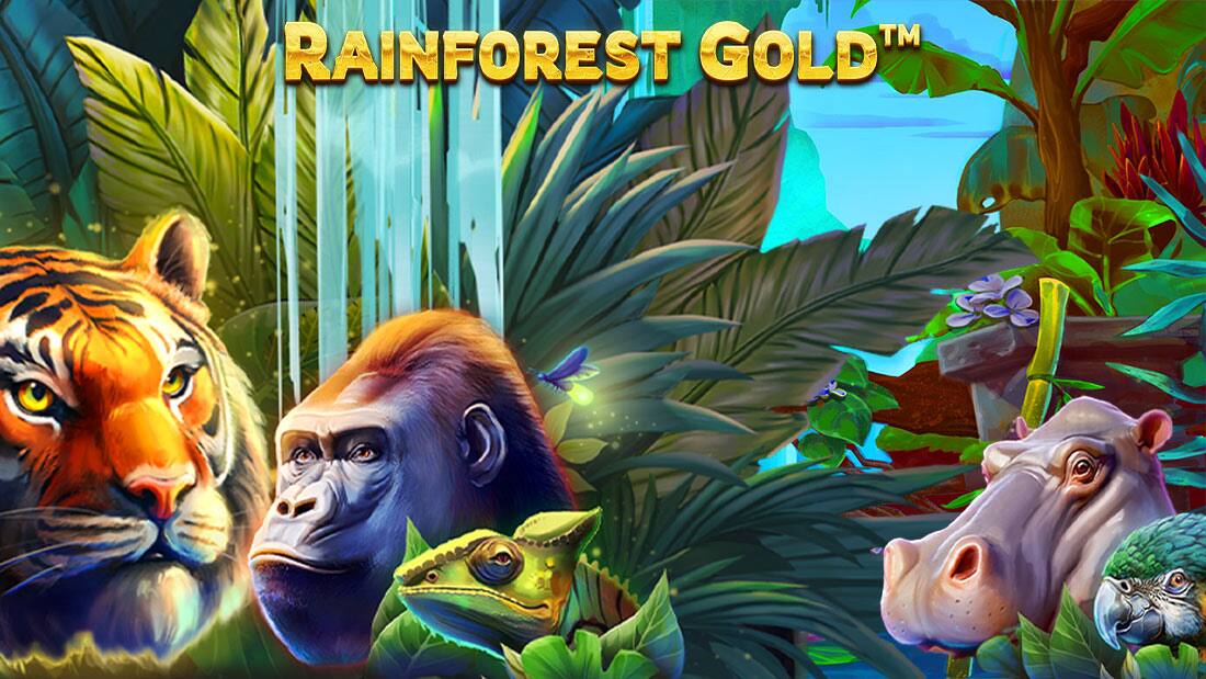 Rainforest Gold
