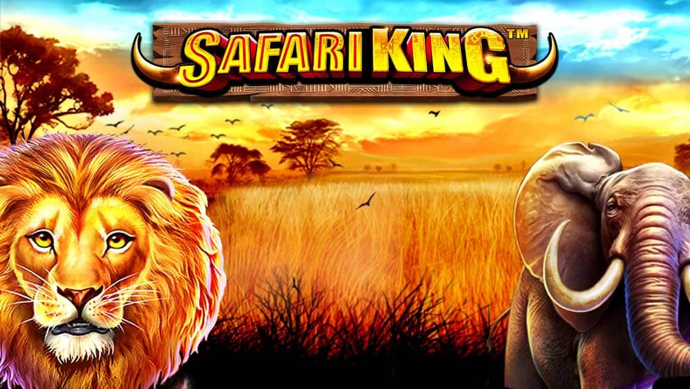 Safari King
