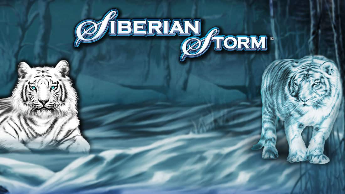 Siberian Storm