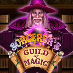Sorcerer`s Guild of Magic