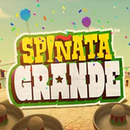 Spinata grande