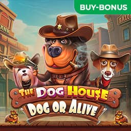 The Dog House - Dog or Alive