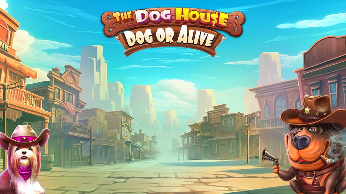The Dog House - Dog or Alive
