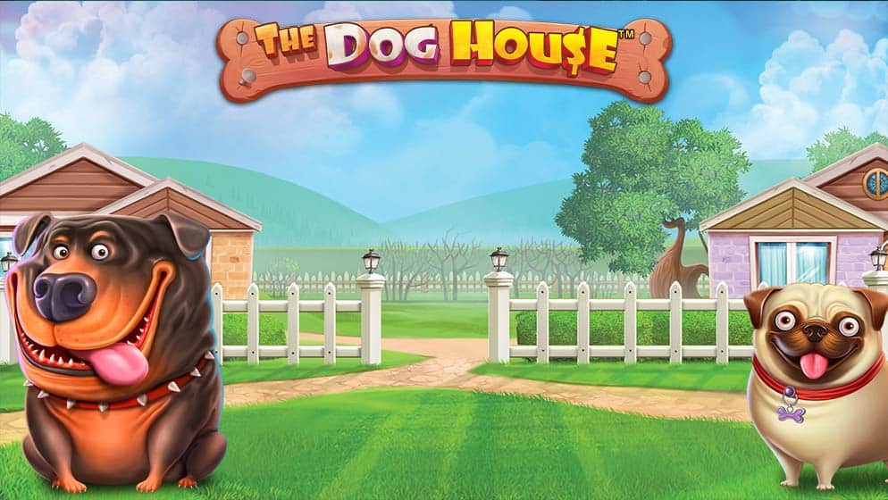The Dog House