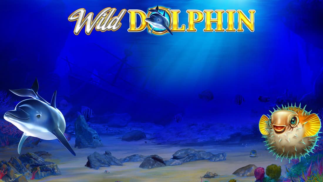 Wild Dolphin