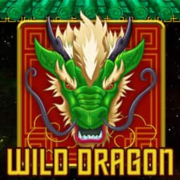 Wild Dragon