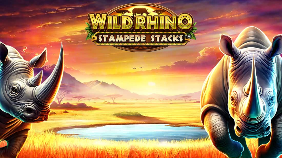 Wild Rhino Stampede Stacks