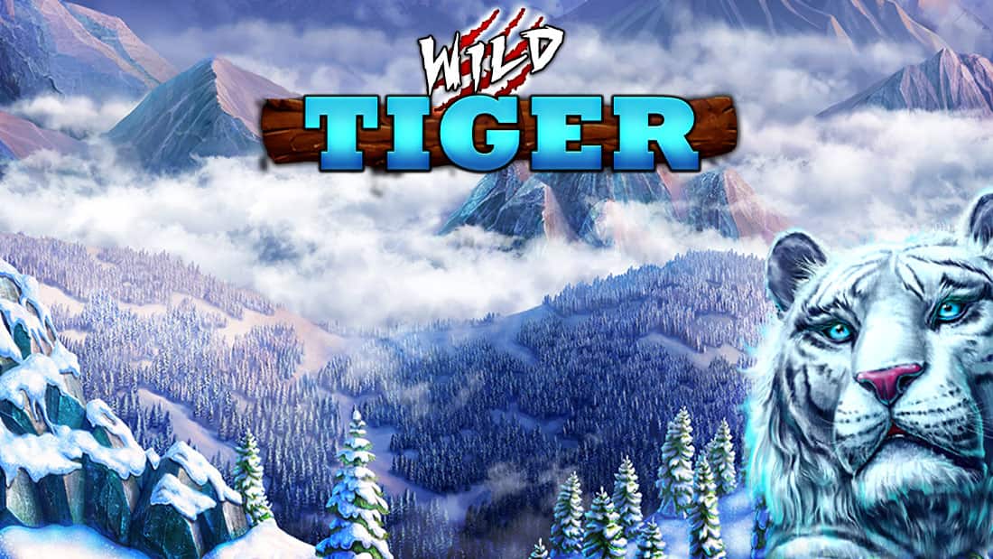 Wild Tiger