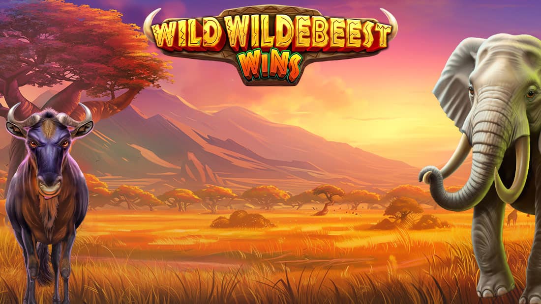 Wild Wildebeest Wins