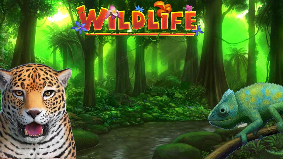 Wildlife